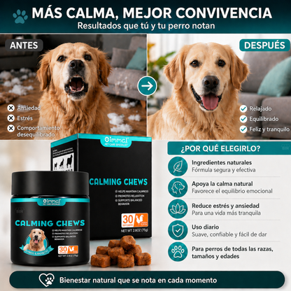 30 Premios Calmantes Naturales para Perros