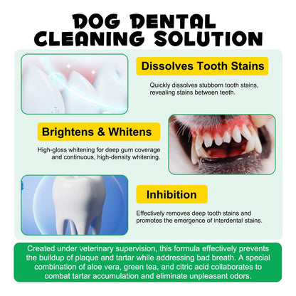 Solución Dental 6en1 para Perros | Aliento Fresco + Antisarro + Limpieza Bucal Completa + Uso Diario + Fórmula Segura | 150ml