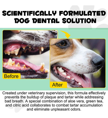 Solución Dental 6en1 para Perros | Aliento Fresco + Antisarro + Limpieza Bucal Completa + Uso Diario + Fórmula Segura | 150ml