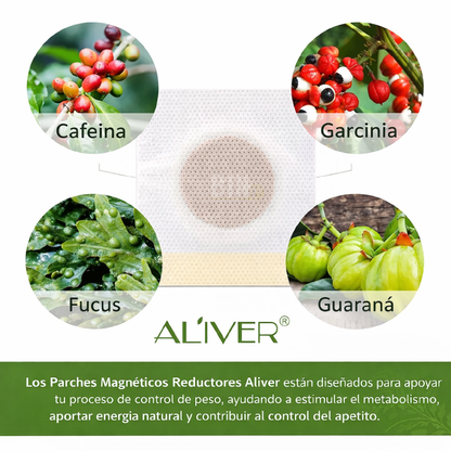 Parches Magnéticos Corporales Herbal (50 Piezas) | Cuidado y Bienestar Natural