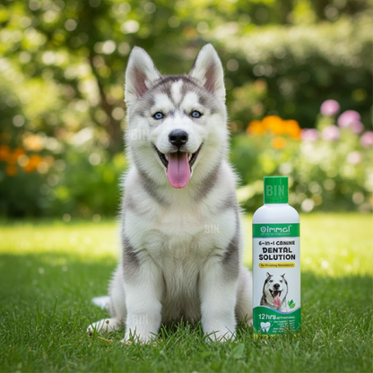 Enjuague Bucal Perros 6 En 1 Higiene Oral Control Sarro