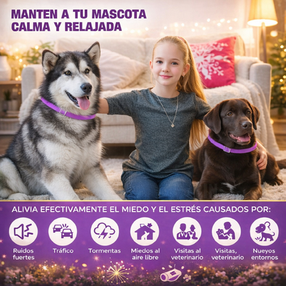 Collar Calmante Para Perros Con Feromonas Lavanda Ajustable