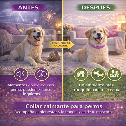 Collar Calmante Para Perros Con Feromonas Lavanda Ajustable