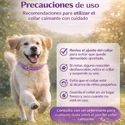 Collar Calmante Para Perros Con Feromonas Lavanda Ajustable