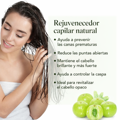 Aliver Aceite de Amla para el Cabello Anticaída Fortalece Folículos y Estimula Crecimiento Capilar