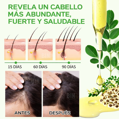 Aceite Moringa Crecimiento Capilar Antiedad Terapéutico